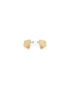 Matte Gold Earrings - Contemporary Elegance